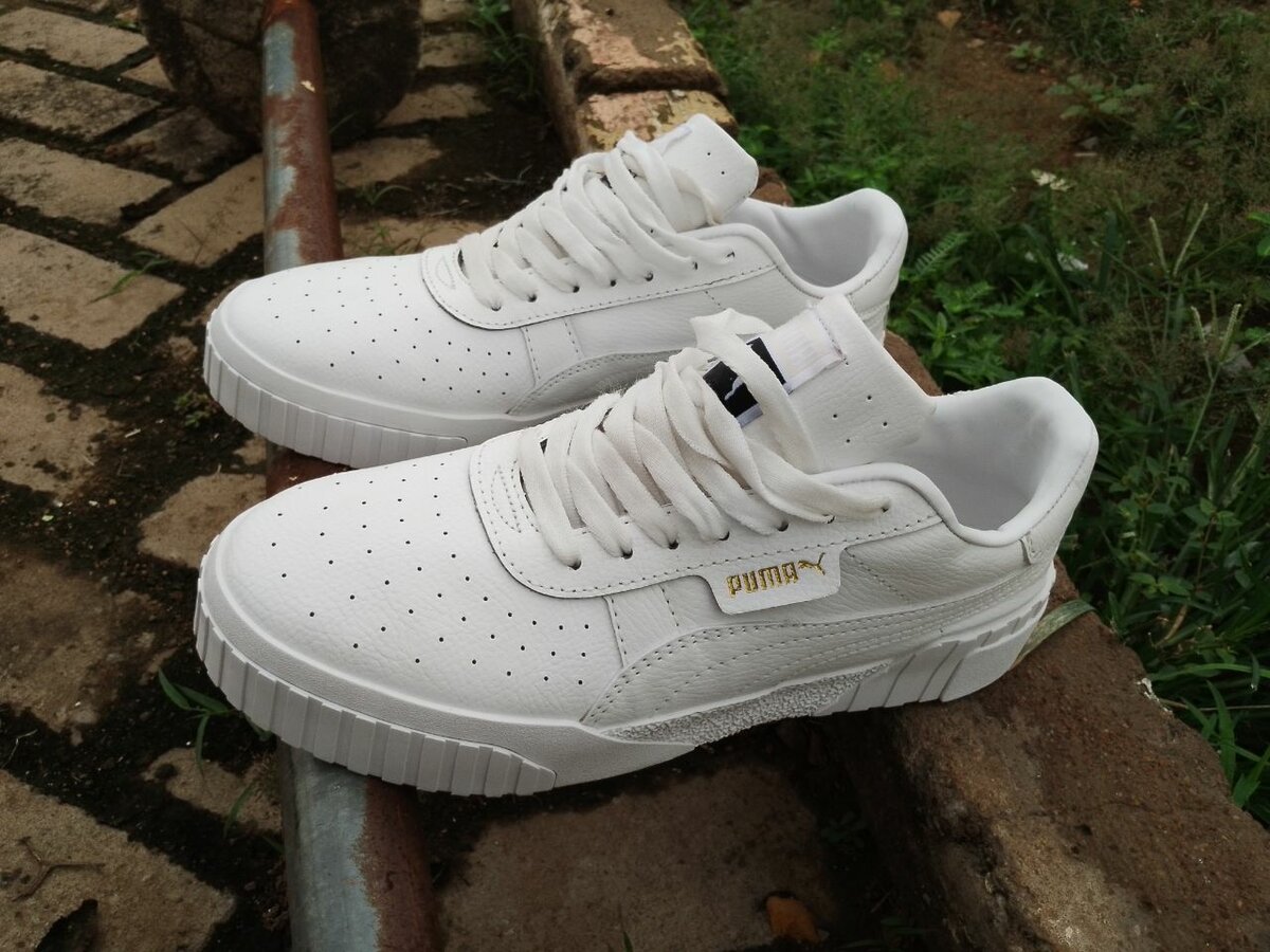 Puma canvas