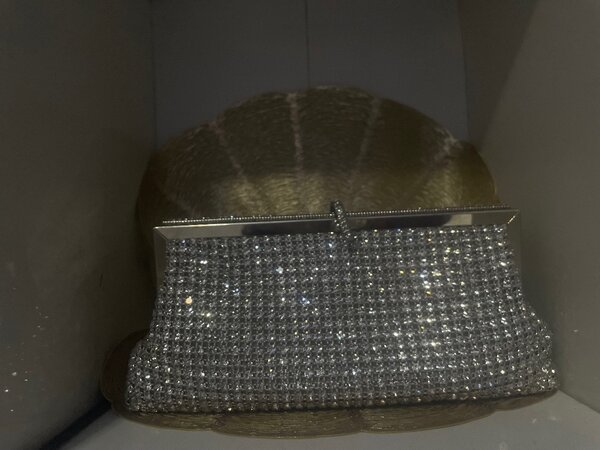 Brand New Silver stone embellished purse.