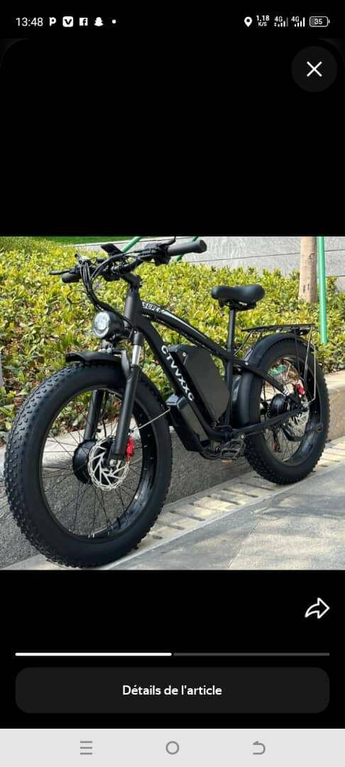 Vélo électrique tout-terrain puissant