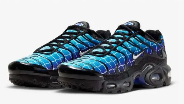 Chaussures Nike TN Air Max Plus - bleu vert