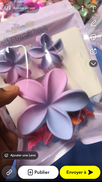 Pinces à cheveux fleurs colorées