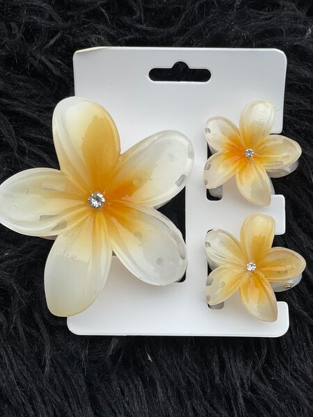 Set de pinces à cheveux fleurs colorées