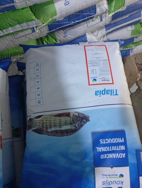 Tilapia 3 mm 20kilo koudijs