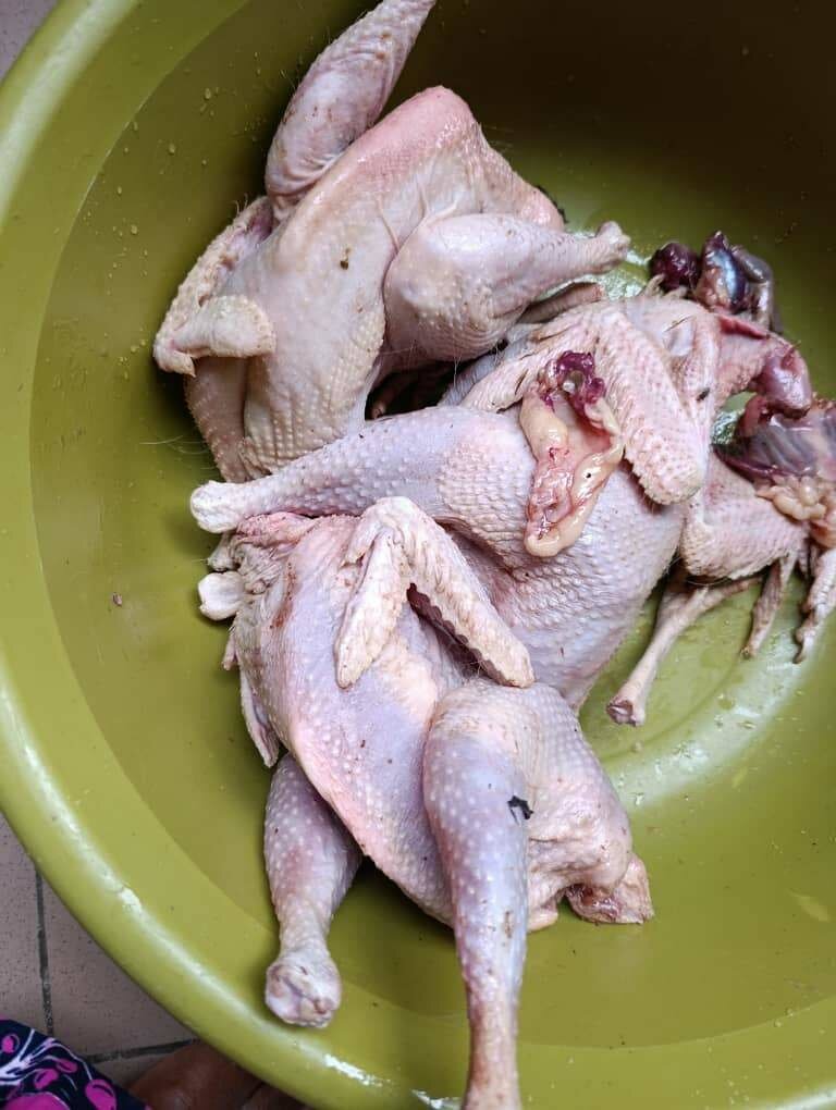 Poulet pondeuse frais