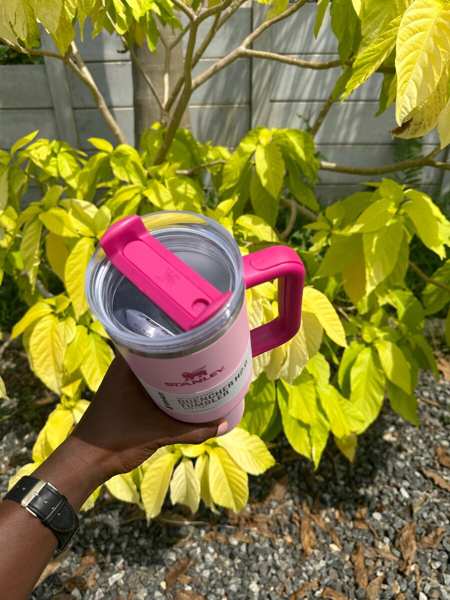 Baby Pink Stanley Tumbler 40oz
