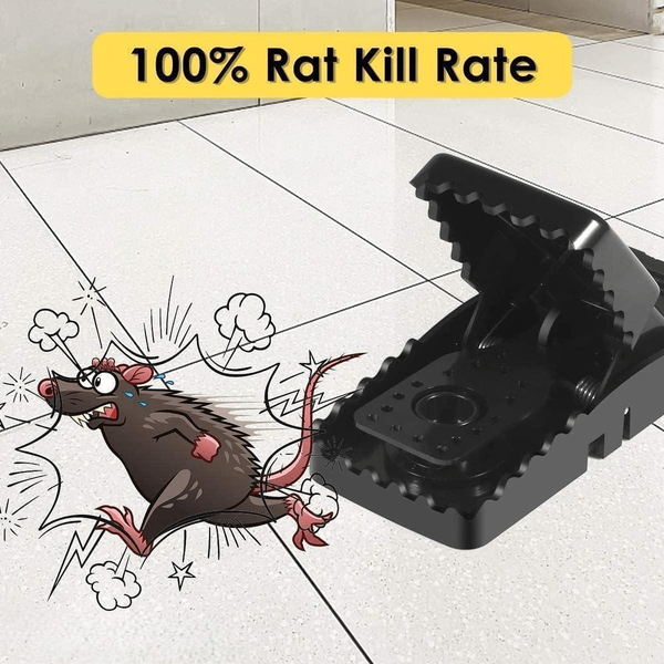 Mouse Trap, Pack Of 5