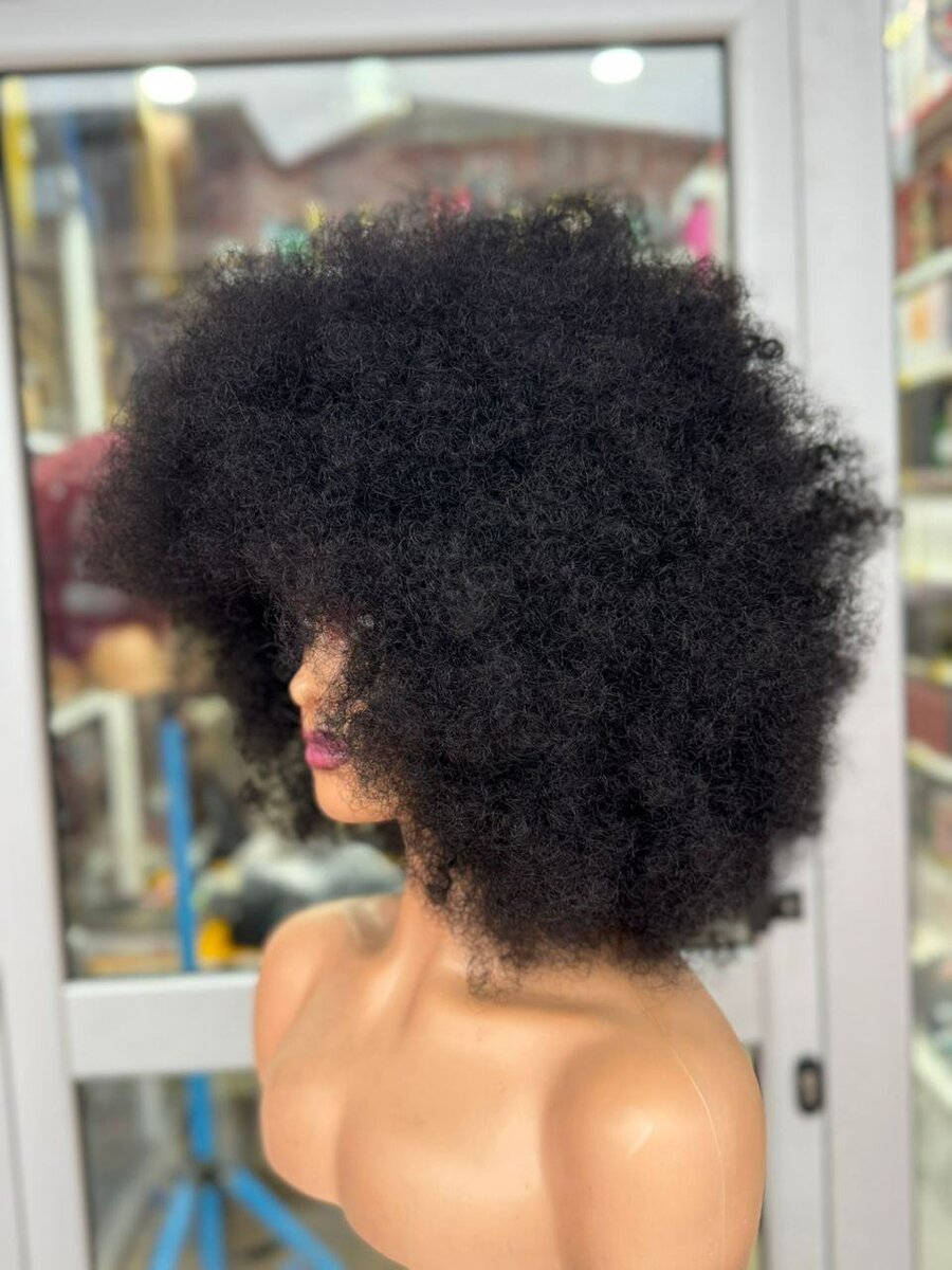 Perruque Afro Bouclée Noire