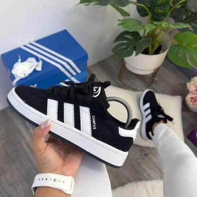 Basket Adidas Campus