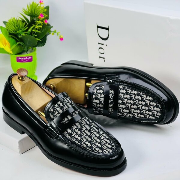 Mens Easy wear shoe -Dior