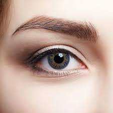 Mistake grey gray lens original Korean  6 month warranty