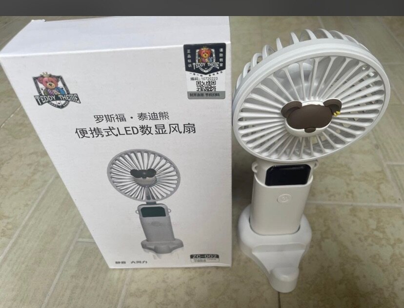 Chargeable fan
