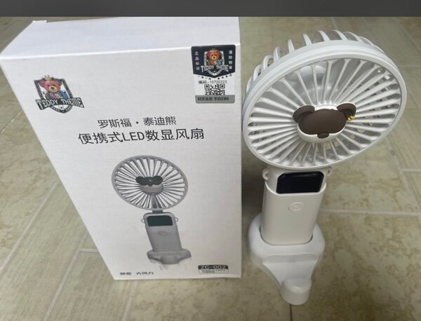Chargeable fan
