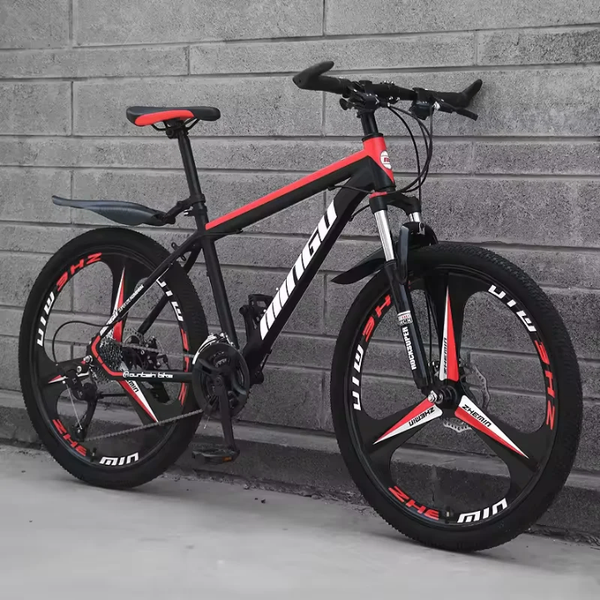 Vélo pour adulte