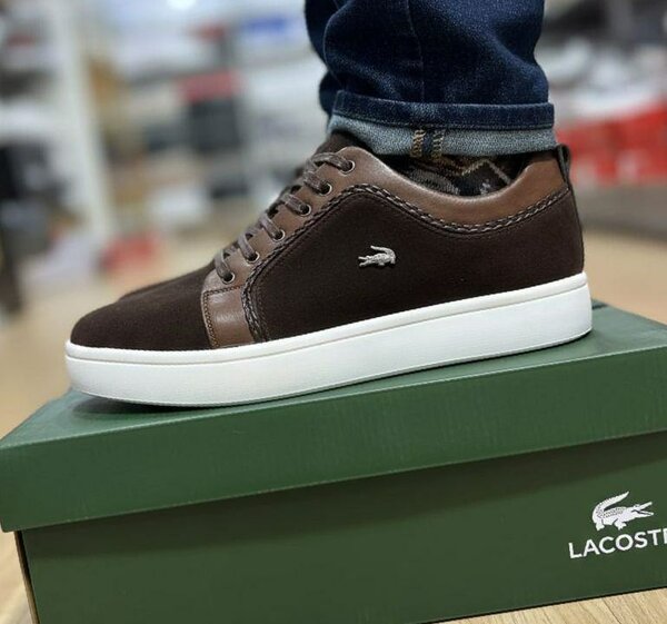 Baskets Lacoste Homme Élégantes