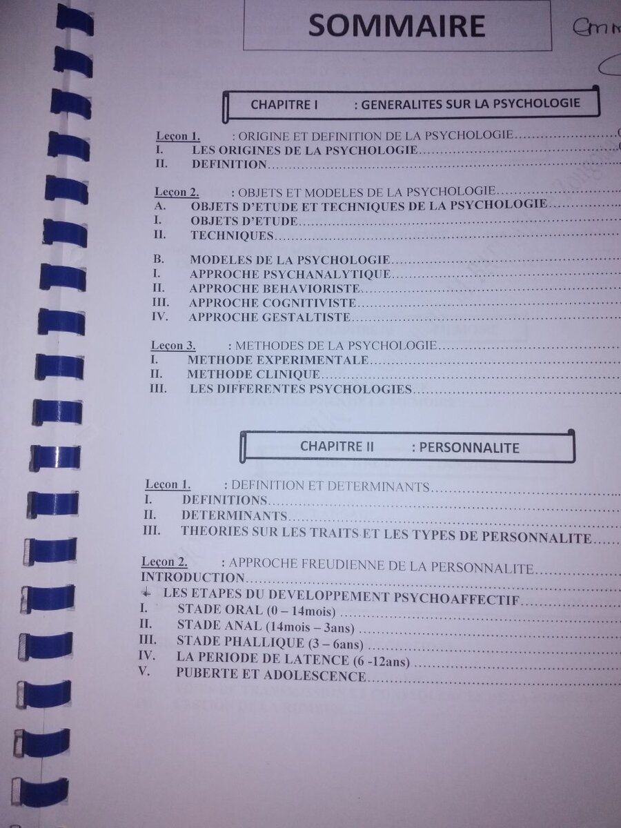 Psychosociologie Appliquée Cours