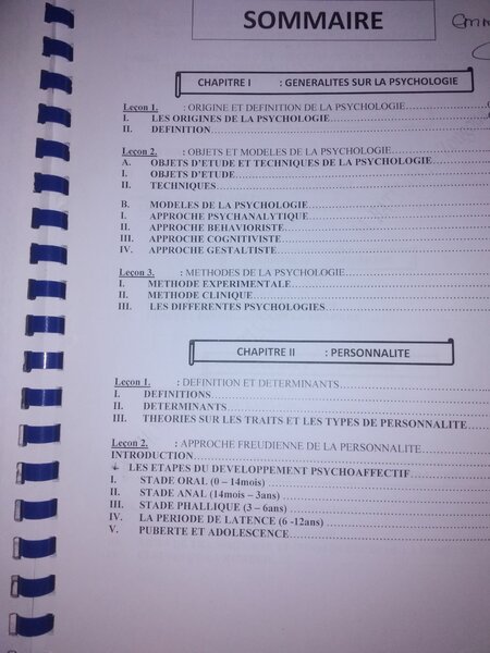 Psychosociologie Appliquée Cours