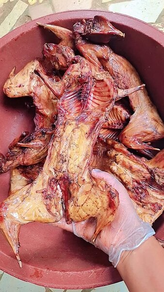 Viande de Lapin Fraîche et Fum