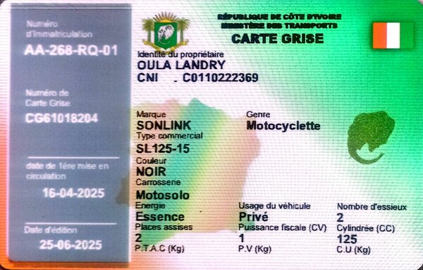 Moto Sonlink SL125-15