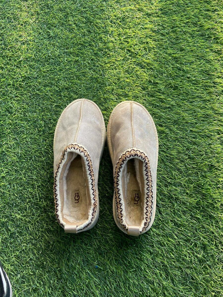 UGGs tazz