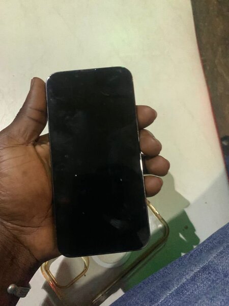 iPhone 13 Pro Max Gris