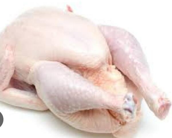 MS Poulet frais de qualité