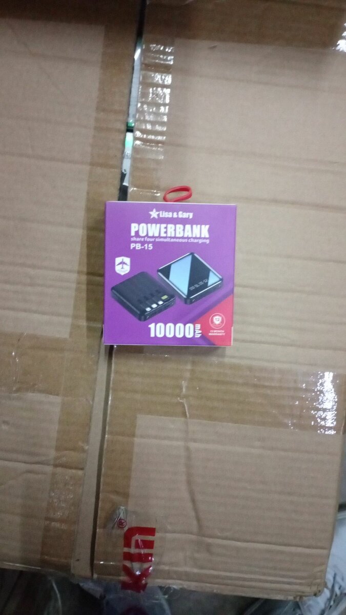 Lisa and gary powerbank