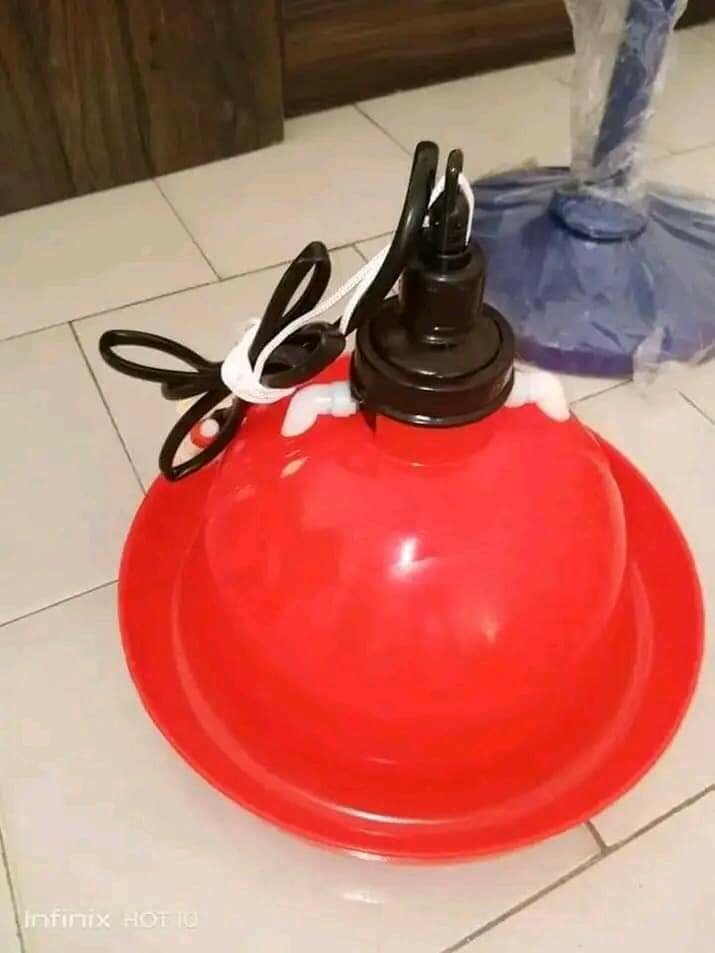 Abreuvoir automatique poulet