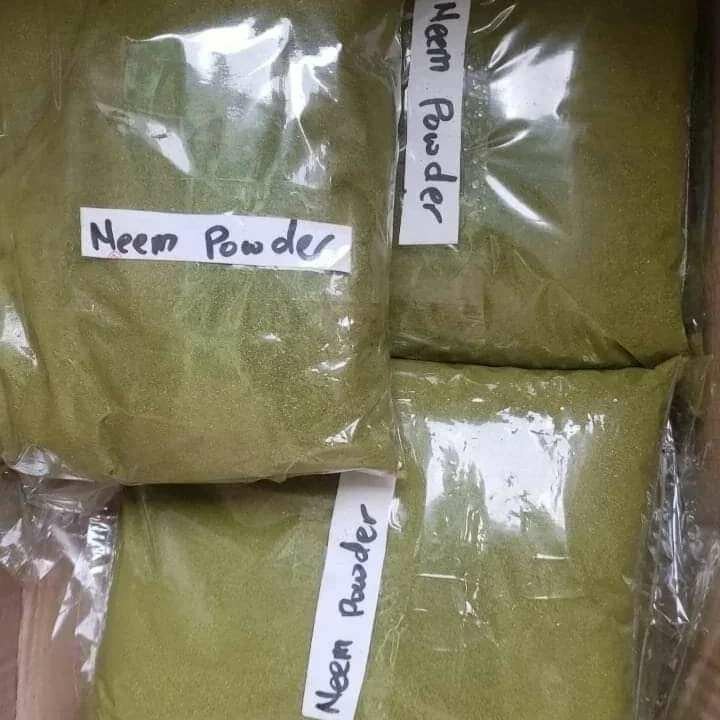 Neem Tree Powder