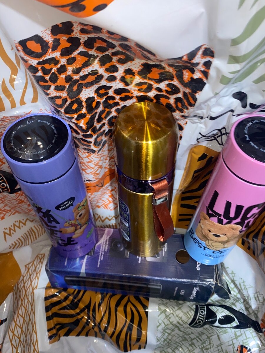 Bouteille Thermos LED Colorée