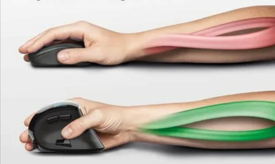 Souris ergonomique verticale sans fil