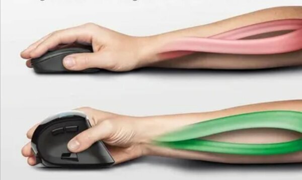 Souris ergonomique verticale sans fil