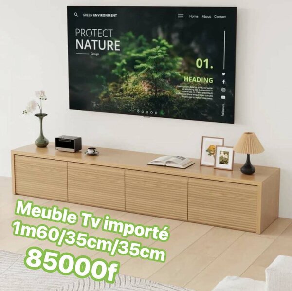 Meuble TV Moderne en Bois