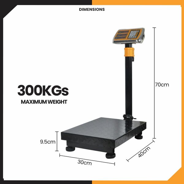 BALANCE DE PESÉE 300KG SANS FIL A BATTERIE 12V