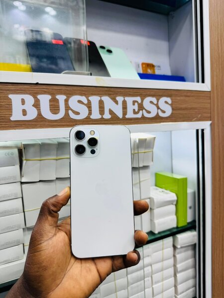 12 pro max 256Go écran et batt