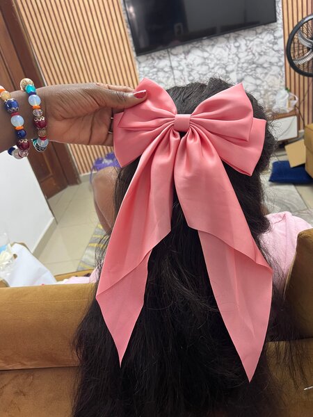 Barrette Noeud Élégant