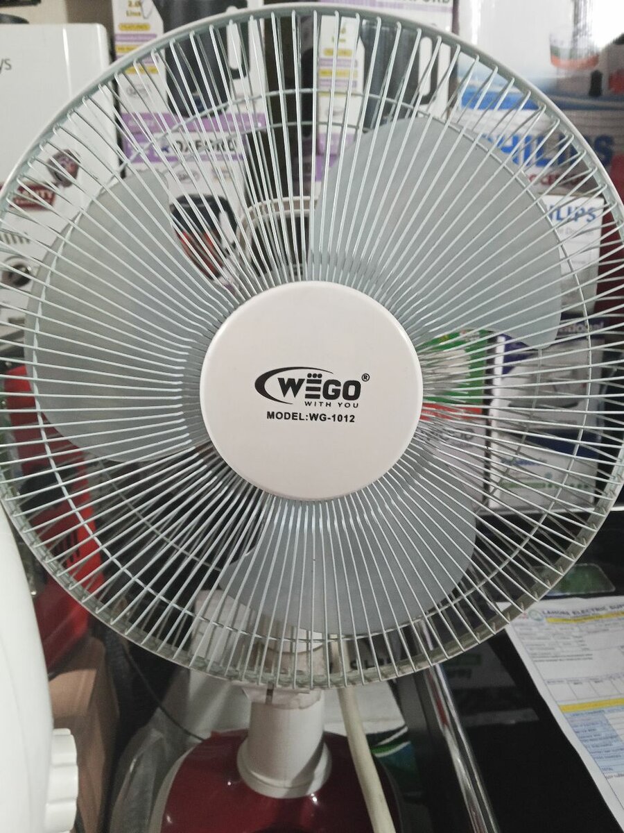 Charging fan wego