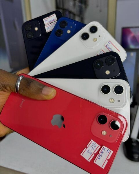 iPhone 12 - Couleurs Variées
