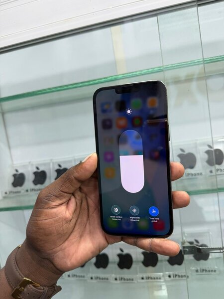 iPhone Pro Max Dernier Modèle