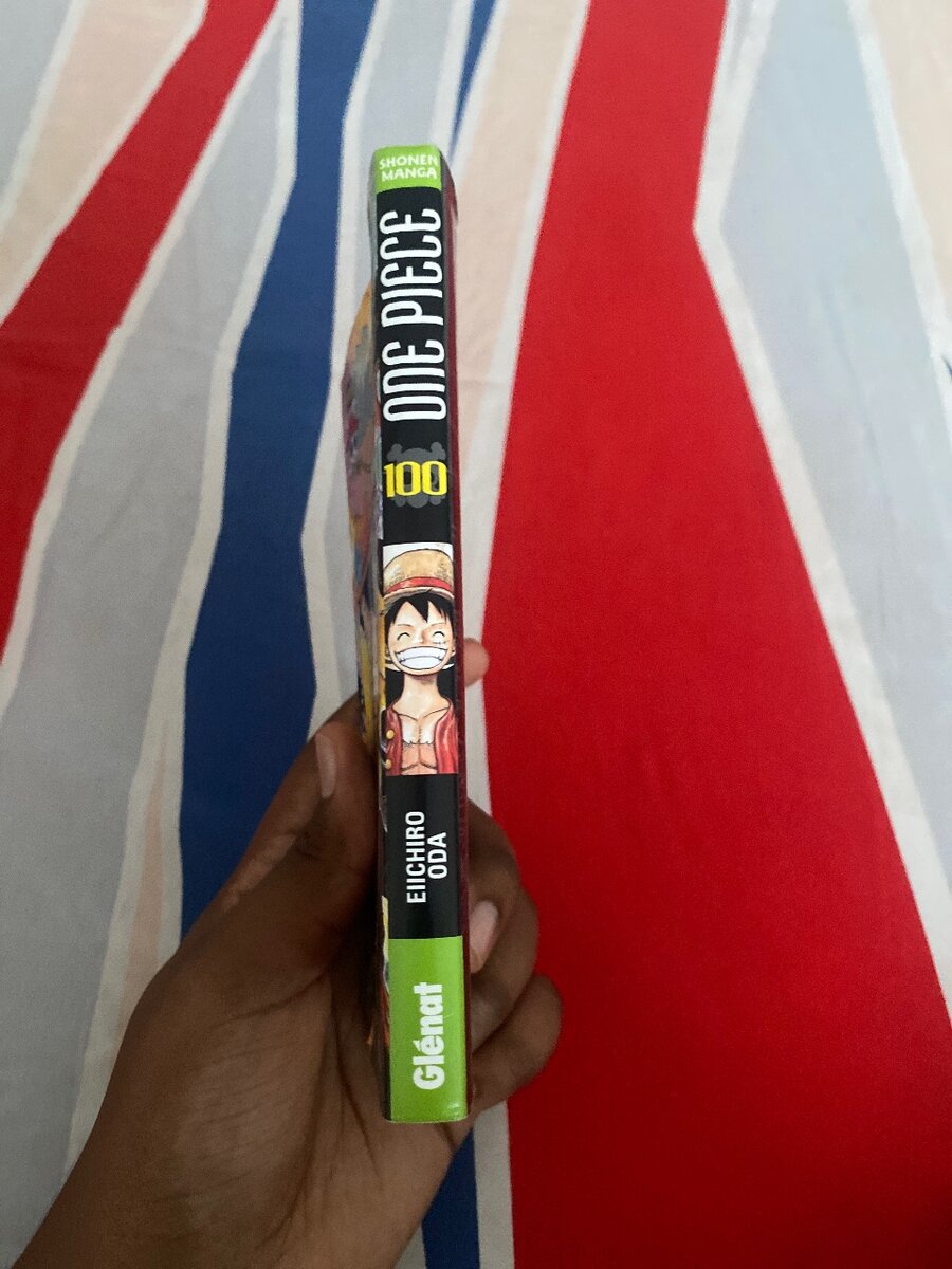 ONE PIÈCE TOME 100