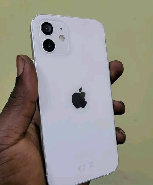iPhone blanc dernière génération