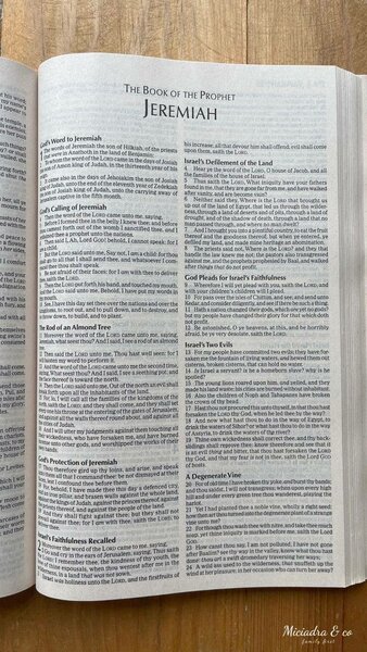 KJV Holy Bible