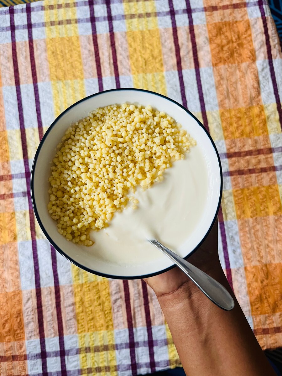 Dèguè au maïs jaune