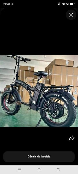 Vélo Électrique Pliable Tout-Terrain