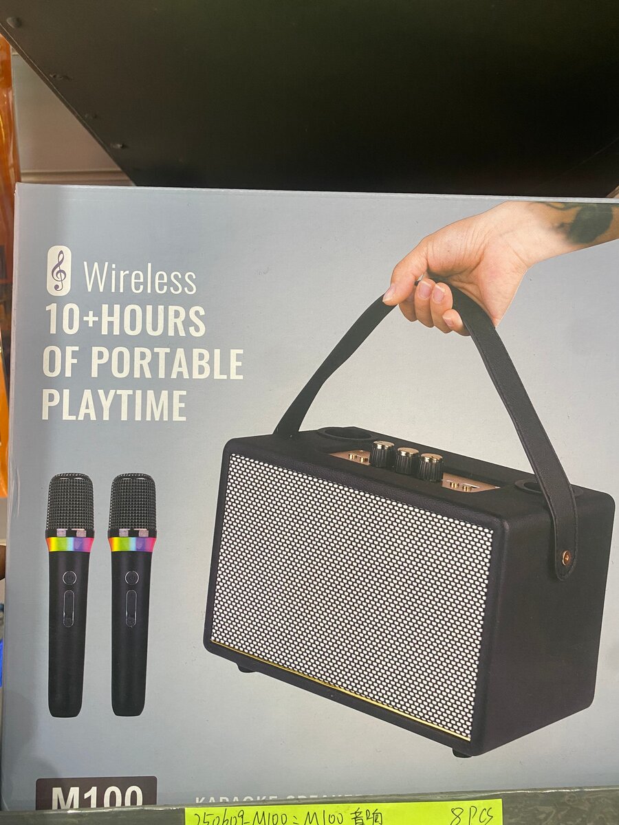 Enceinte Bluetooth Karaoke Sans Fil