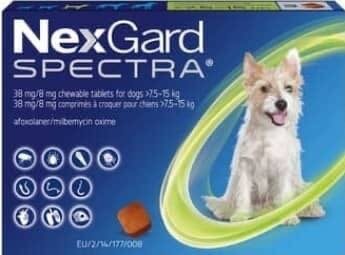 Nexgard en détail