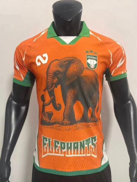 Maillot Équipe Élphants