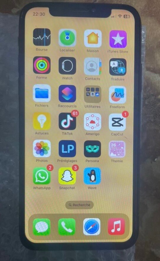 iPhone X élégant 256 Go