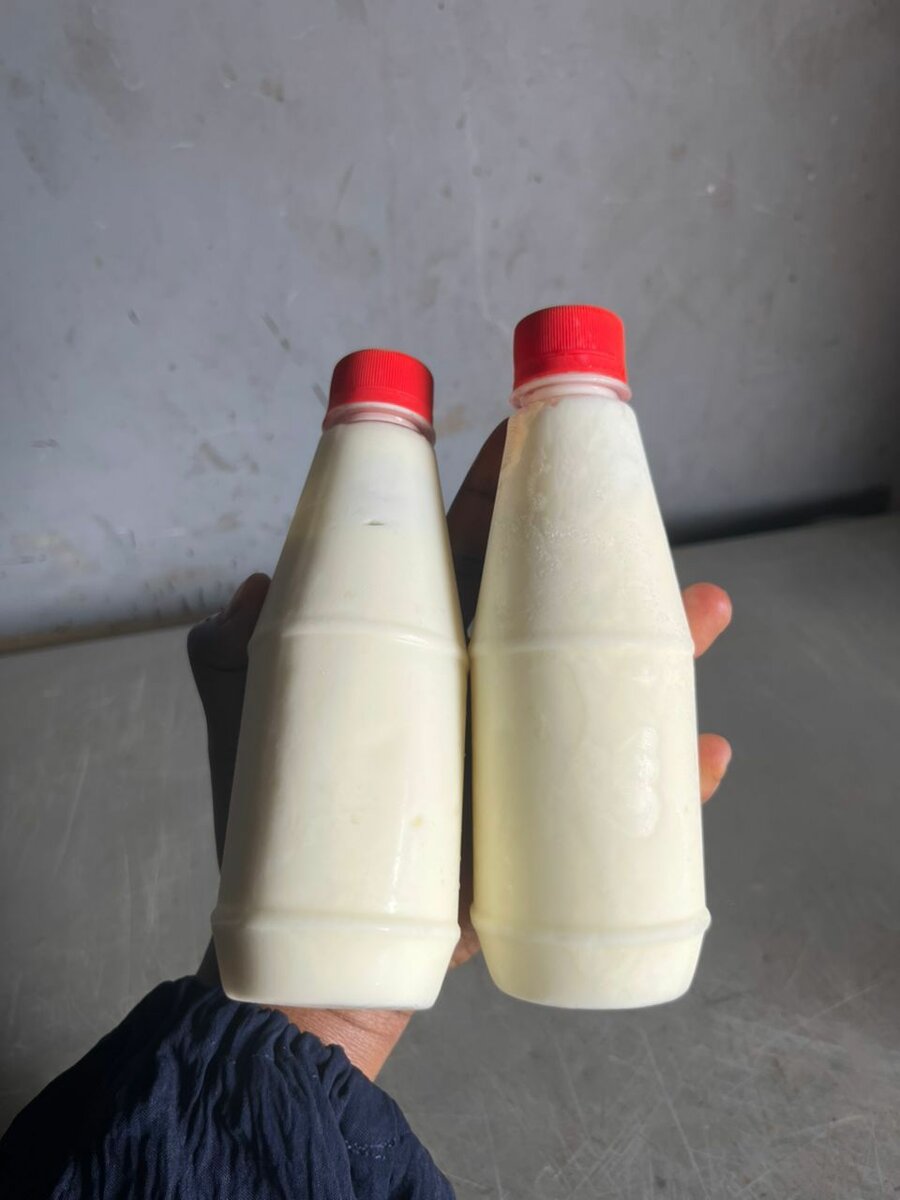 Yaourt Nature Bio en Bouteille