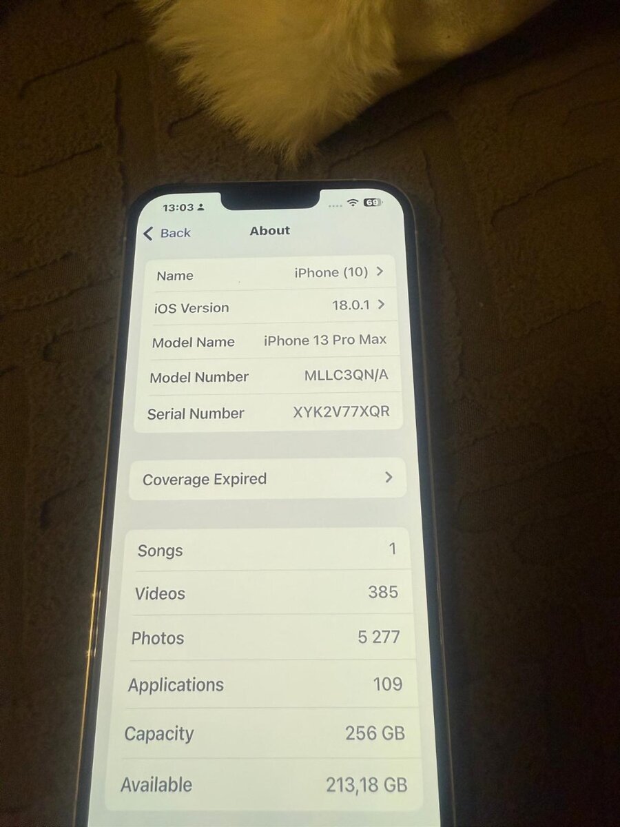 iPhone 13 Pro Max 256gb