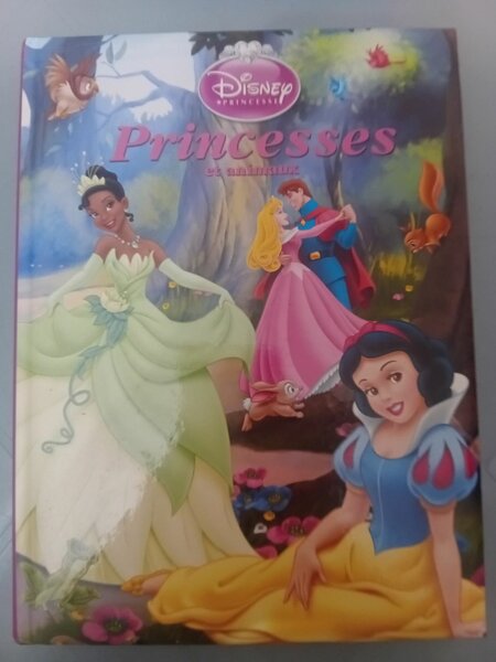 Livre Disney Princesses